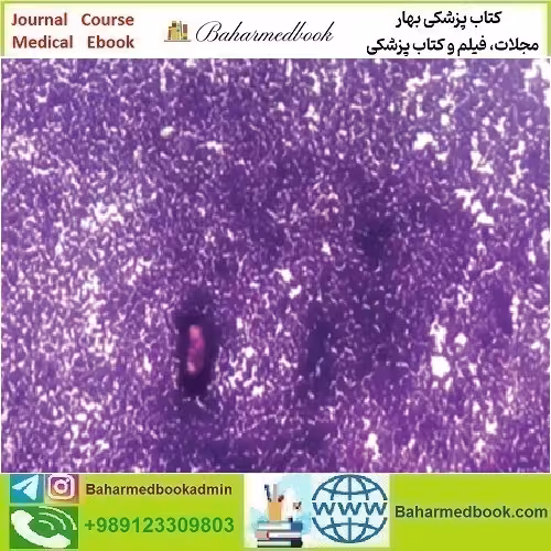 Oakstone Cytopathology 2022 video course price 25€ - کتاب پزشکی بهار