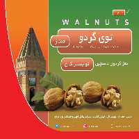 مغز گردو ممتاز تویسرکان ـ 100 گرم