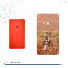 برچسب پوششی ماهوت مدل Kangaroo مناسب برای گوشی موبایل نوکیا Lumia 625