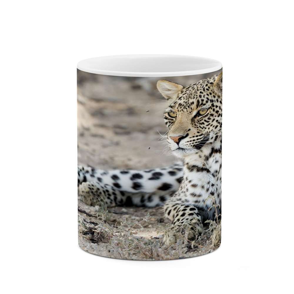 ماگ کاکتی طرح پلنگ مدل mgs14557