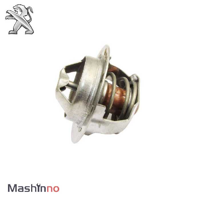 ترموستات پژو RD