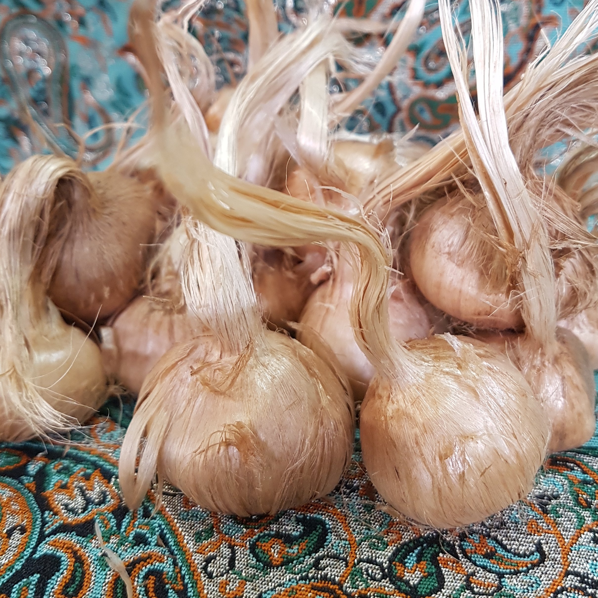پیاز زعفران 3 کیلویی