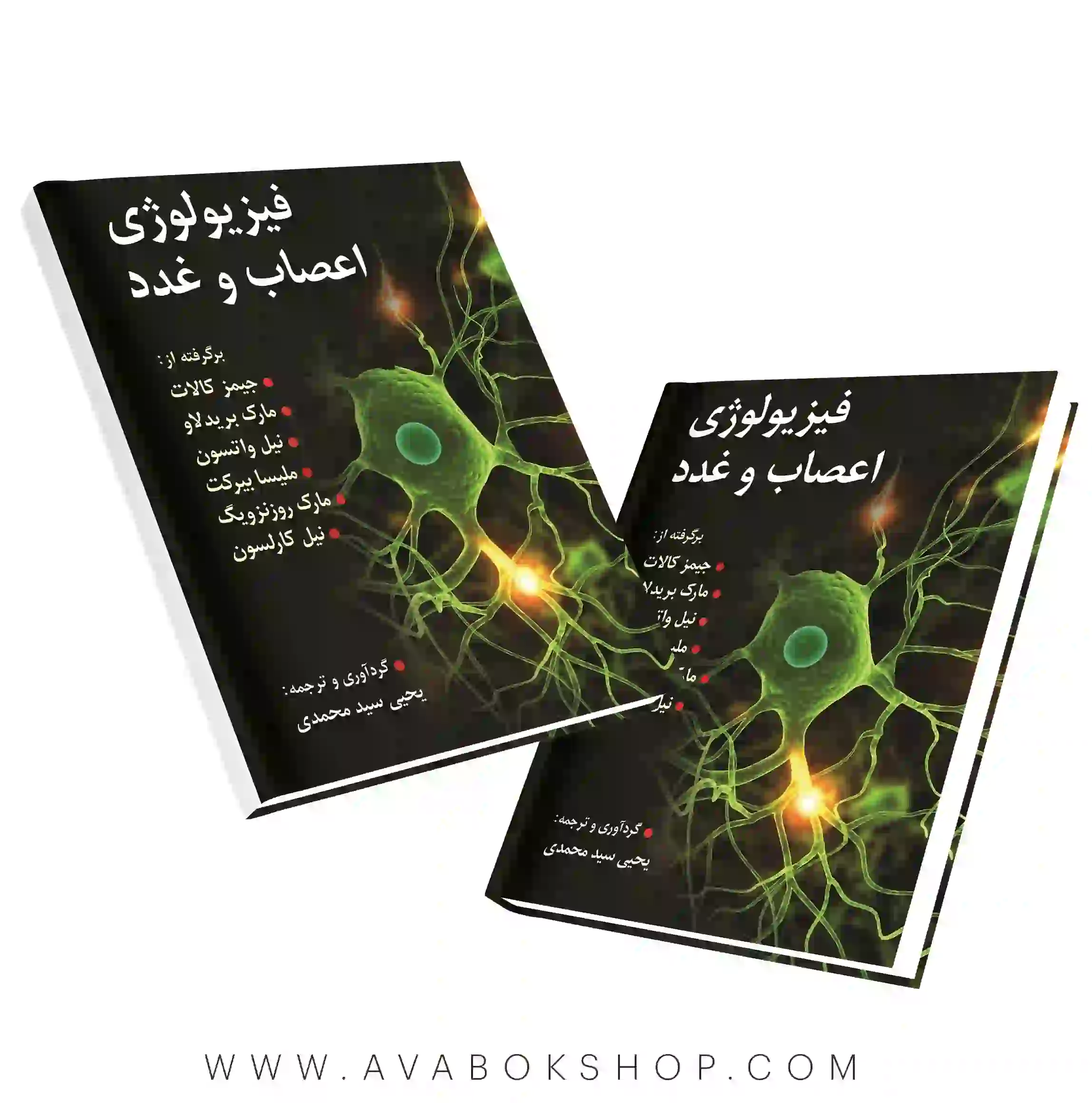 کتاب فیزیولوژی اعصاب و غدد ترجمه یحیی سید محمدی انتشارات روان