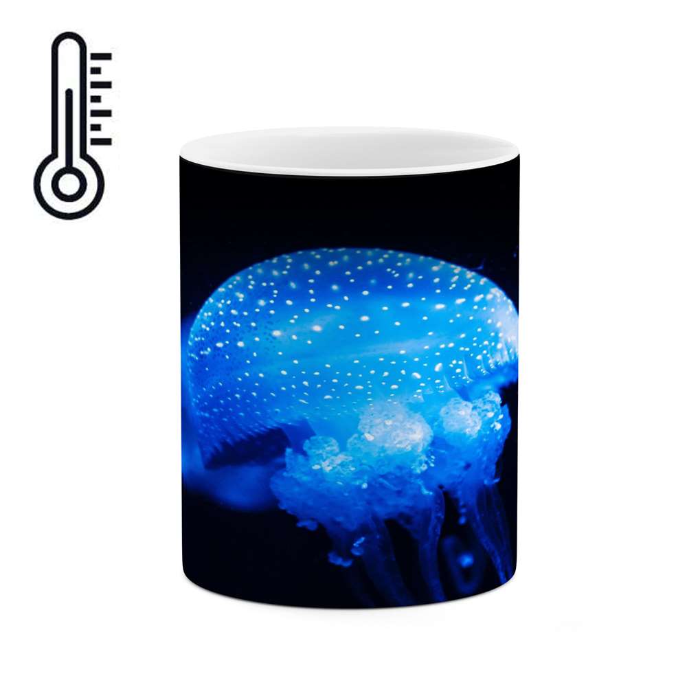 ماگ حرارتی کاکتی طرح فانتزی مدل mgh14491