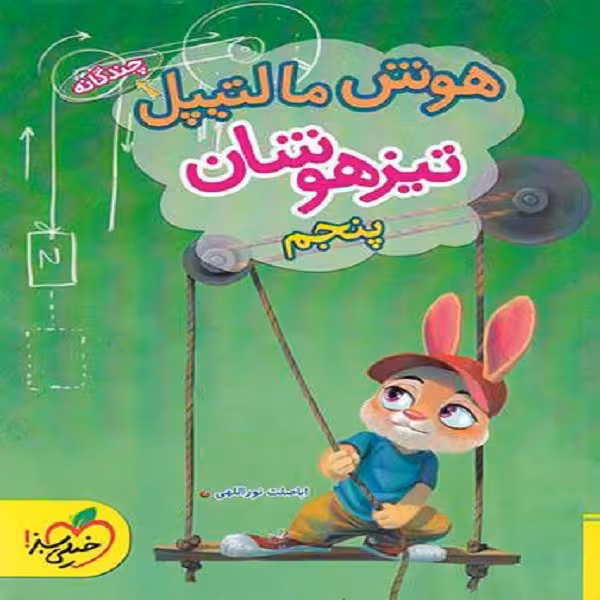 کتاب هوش مالتیپل پنجم اثر اباصلت نورالهی انتشارات خیلی سبز