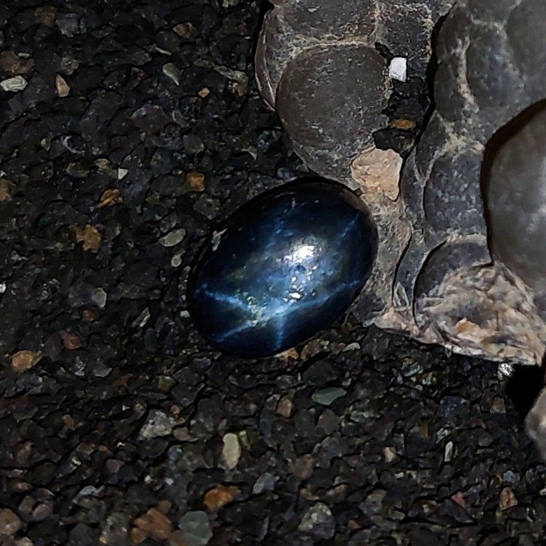 یاقوت کبود استارکد Y 7305