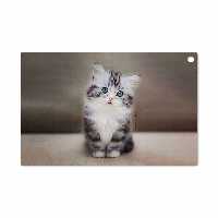 برچسب پوششی ماهوت مدل Cat-2 مناسب برای تبلت سونی Xperia Tablet Z LTE 2013