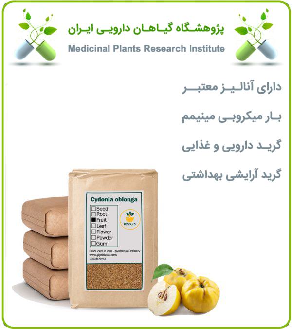 میوه بِه خشک فله