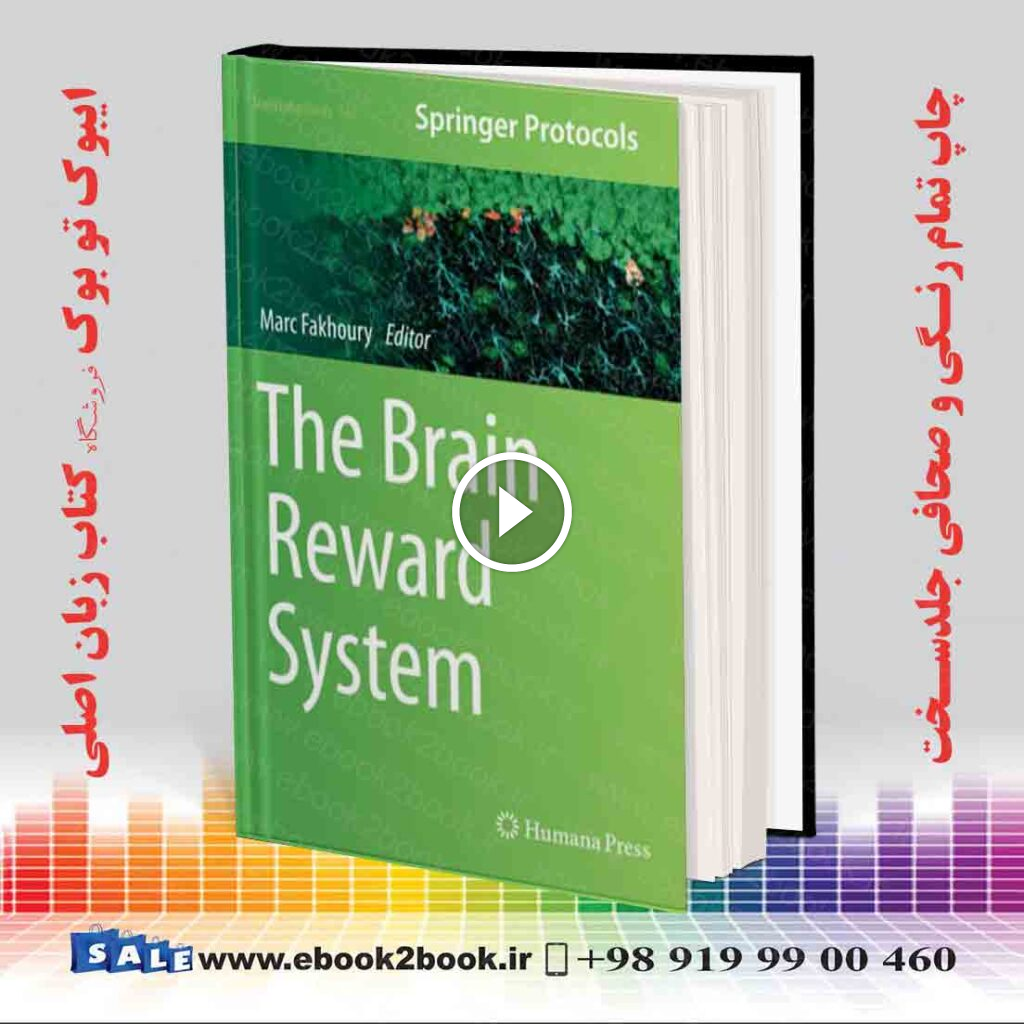 The Brain Reward System