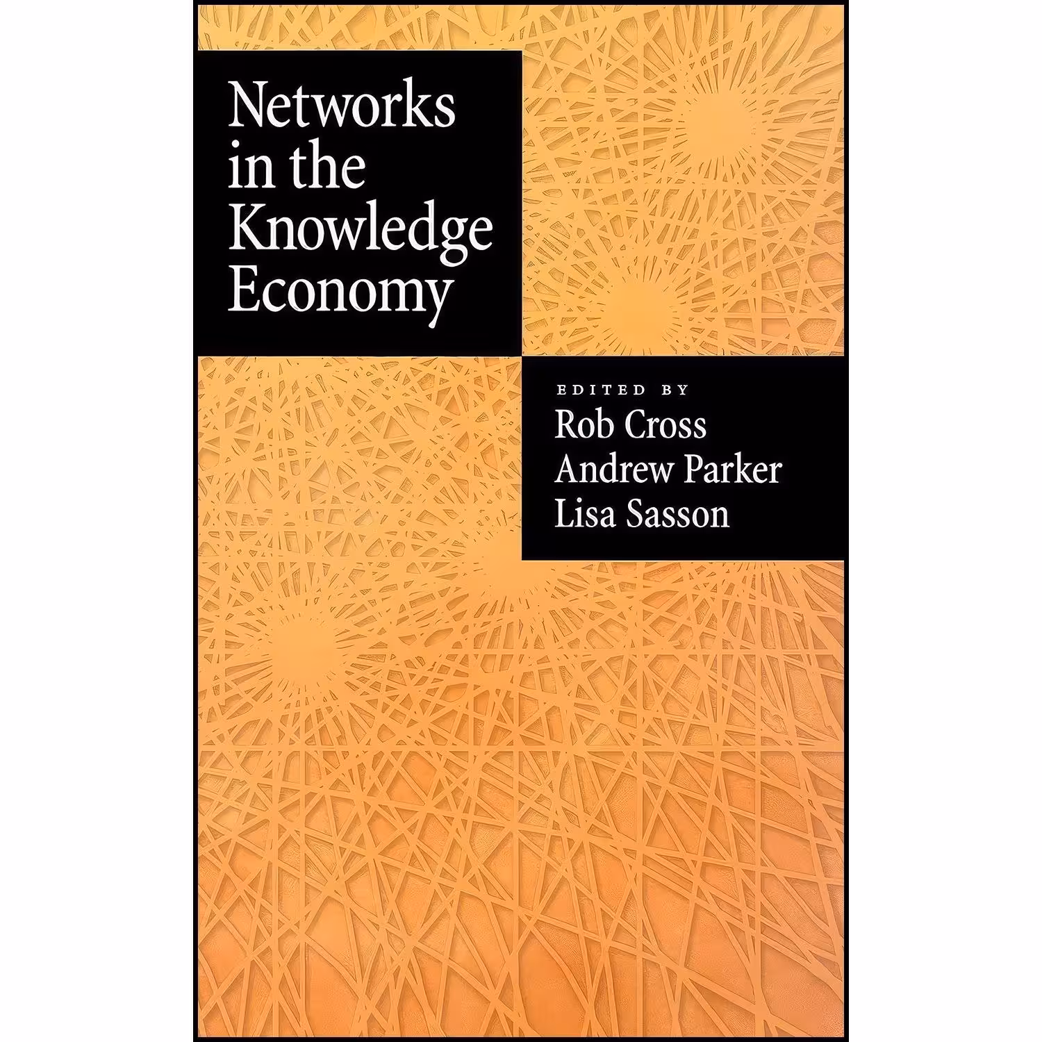کتاب زبان اصلی Networks in the Knowledge Economy اثر جمعی از نویسندگان
