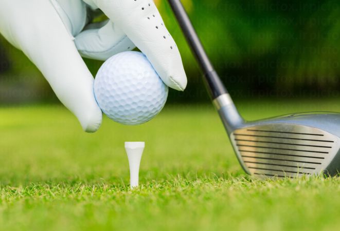 خرید و دانلود عکس Golf کد 24551 | پیک فاکس | Pic Fox