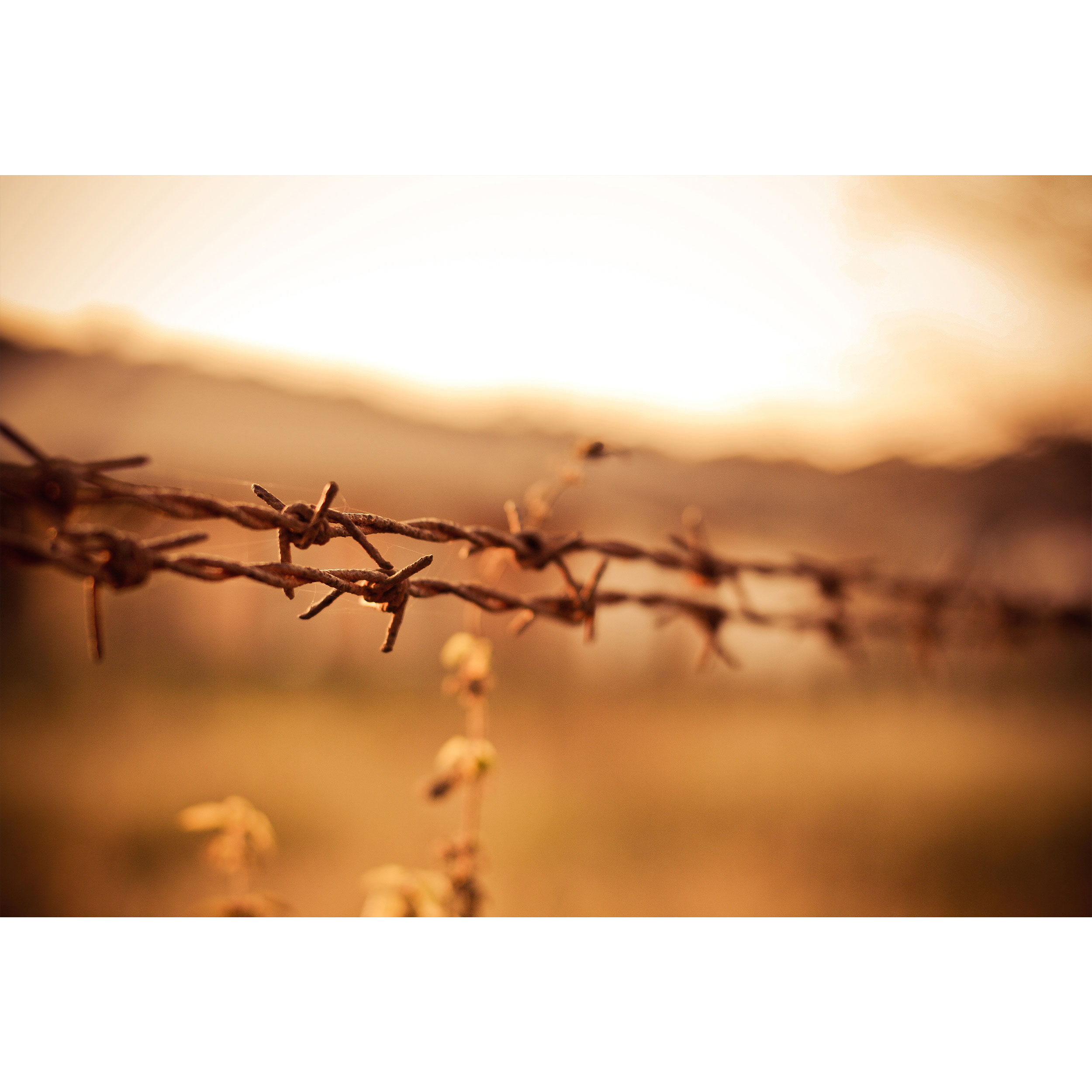 تابلو شاسی طرح منظره سیم خار دار مدل T1188