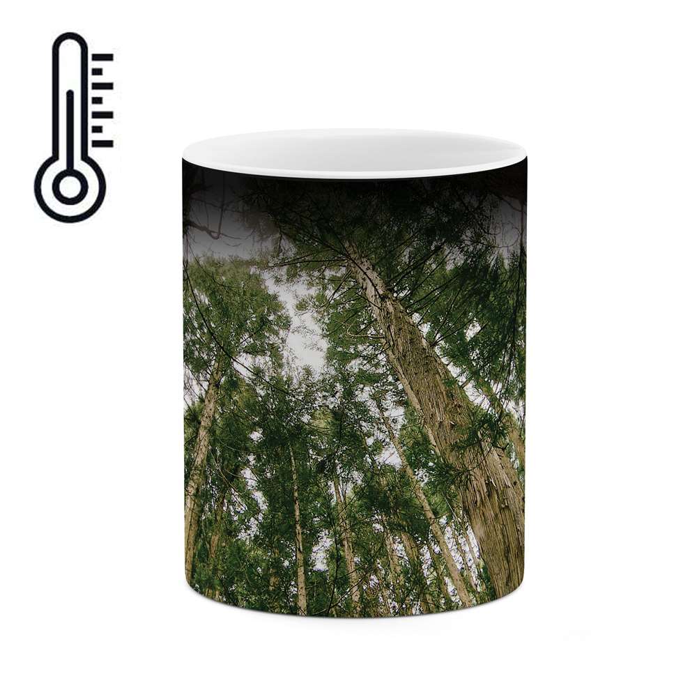 ماگ حرارتی طرح درخت جنگل مدل mgh00459