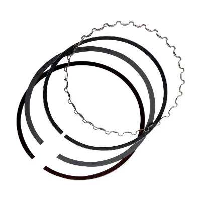 رینگ موتور کاپلان پلاس مدلR405 XU7 مناسب پژو 405 XU7 مجموعه 20 عددی