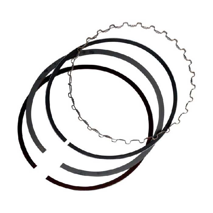 رینگ موتور کاپلان پلاس مدلR405 XU7 مناسب پژو 405 XU7 مجموعه 20 عددی