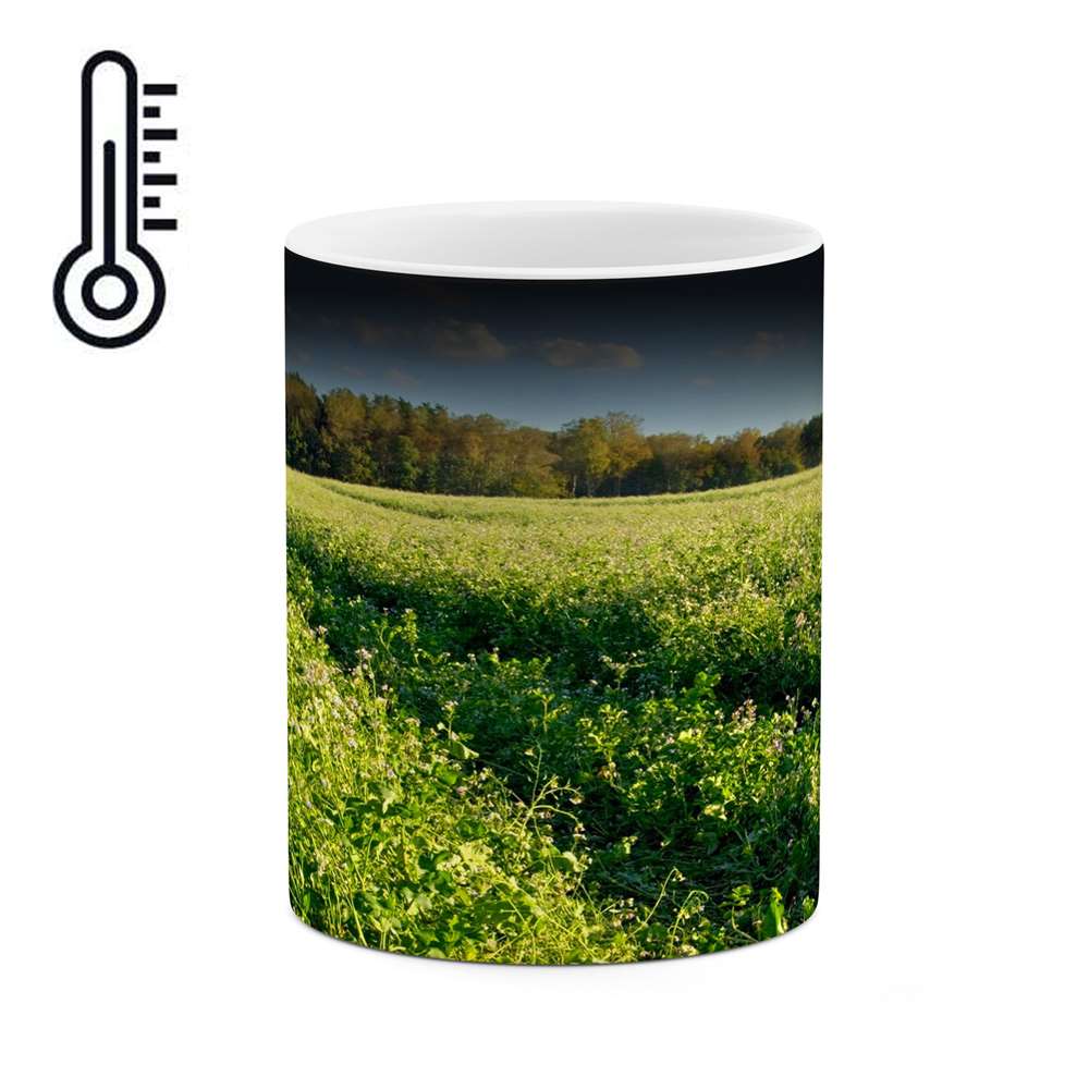 ماگ حرارتی طرح منظره مدل mgh10743