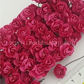 گل رز کوچک سرخابی