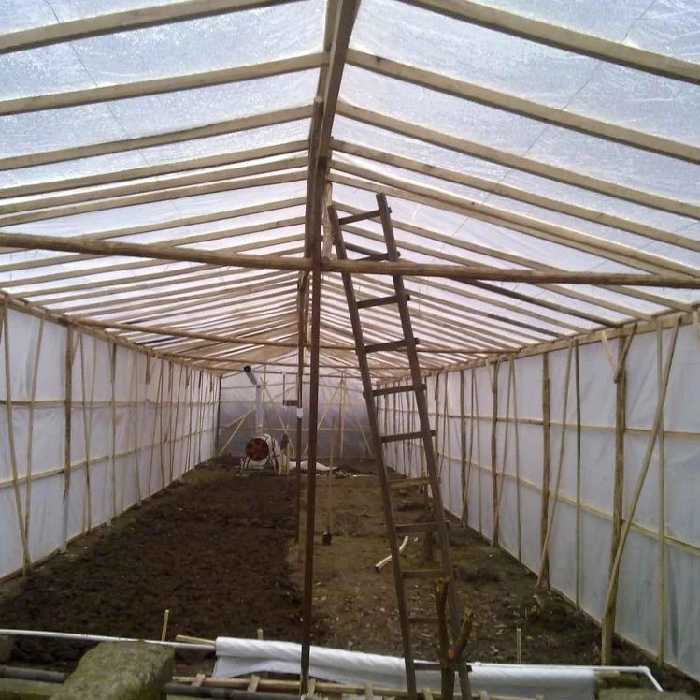 خرید و دانلود طرح توجیهی احداث مجتمع گلخانه ای | فرصت سرمایه‌گذاری در صنعت کشاورزی