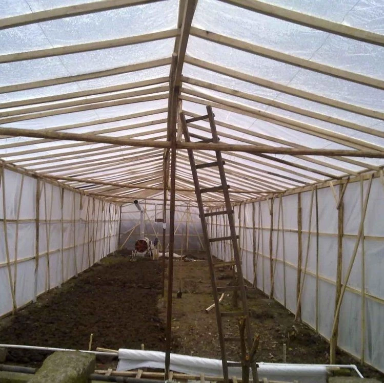 خرید و دانلود طرح توجیهی احداث مجتمع گلخانه ای | فرصت سرمایه‌گذاری در صنعت کشاورزی