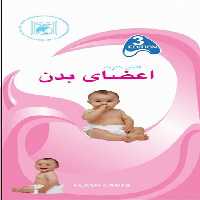 فلش كارت اعضاي بدن