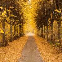 خرید و دانلود عکس Nature-Part-22 کد 36111 | پیک فاکس | Pic Fox