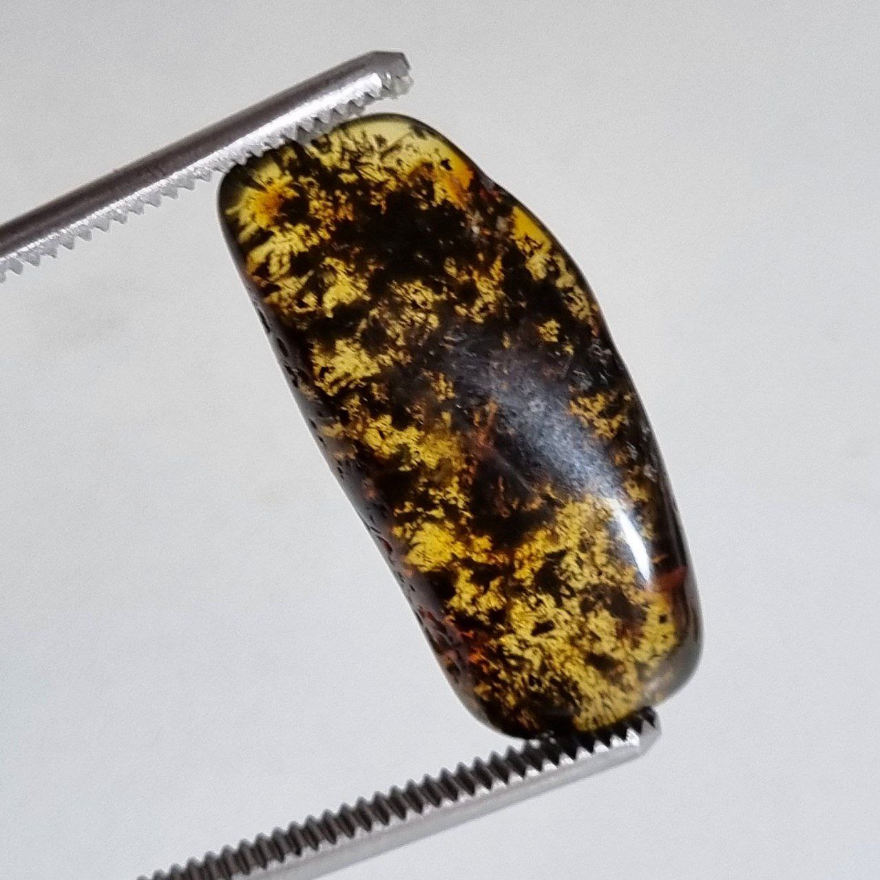 کهربای راف طبیعی لهستان 8129