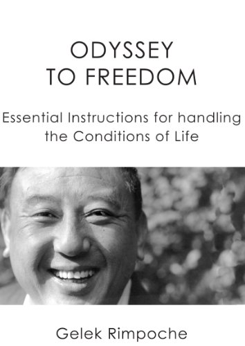 خرید و دانلود نسخه کامل کتاب Odyssey to Freedom -   pdf