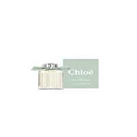 عطر زنانه Rose Naturelle Refilleble ادوپرفیوم 100 میل CHLOE