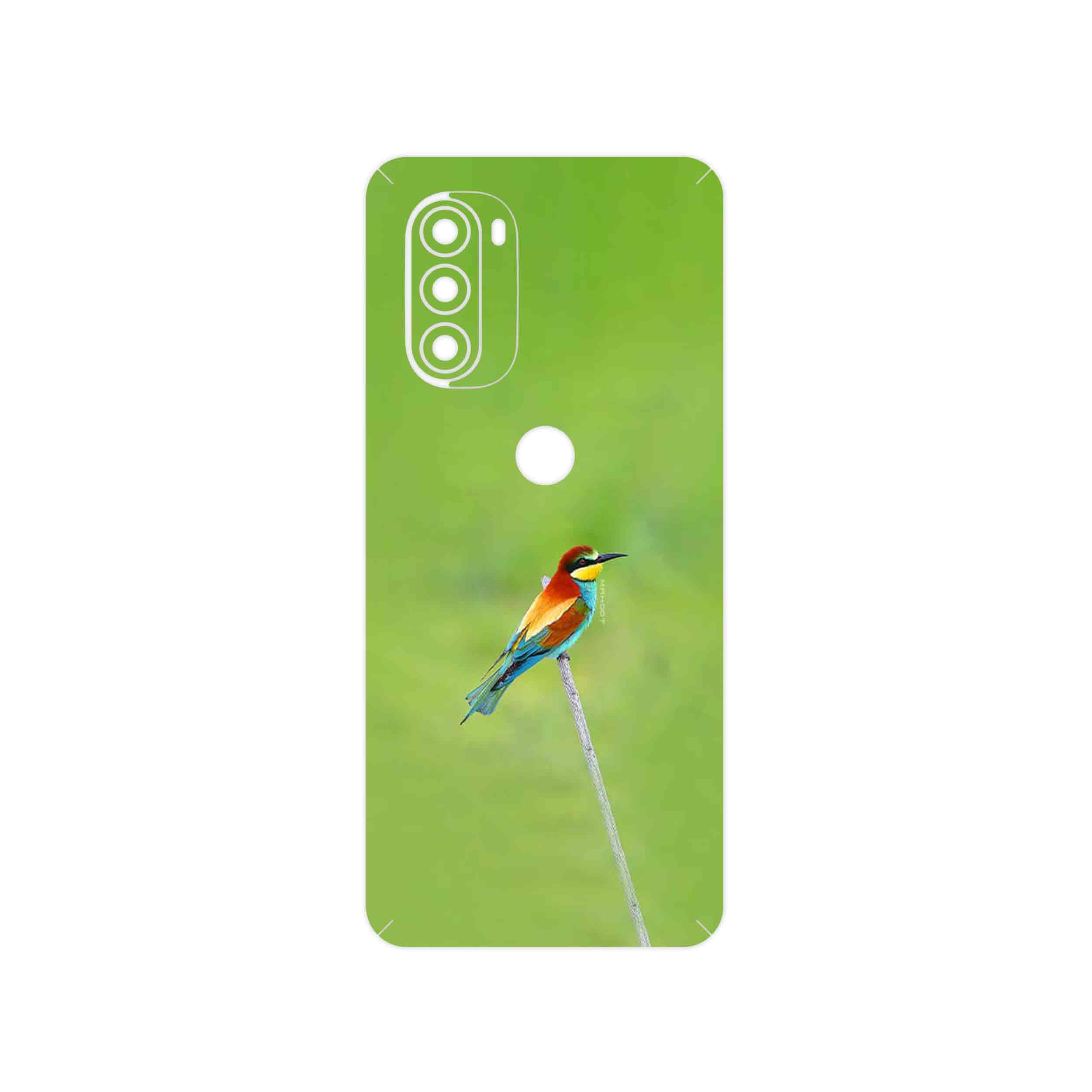 برچسب پوششی ماهوت مدل European bee-eater مناسب برای گوشی موبایل موتورولا Moto G51 5G