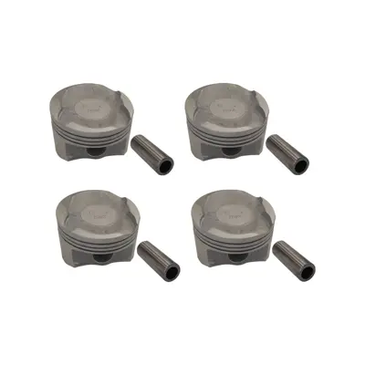 پیستون استاندارد مدل 1004016-EG01 مناسب برای گریت وال ولکس C30 بسته 4 عددی