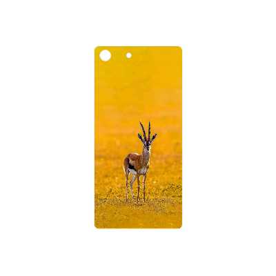 برچسب پوششی ماهوت مدل Gazelle مناسب برای گوشی موبایل سونی Xperia M5