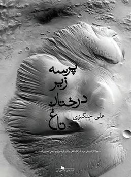 پرسه زیر درختان تاغ | مرکز فرهنگی آبی