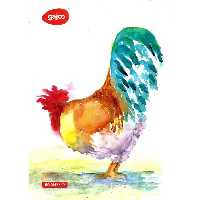 دفتر 60 برگ گاج چسبی کد 45