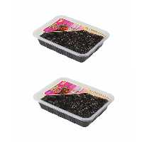 آلبالو ترشی سون - 130 گرم بسته 2 عددی