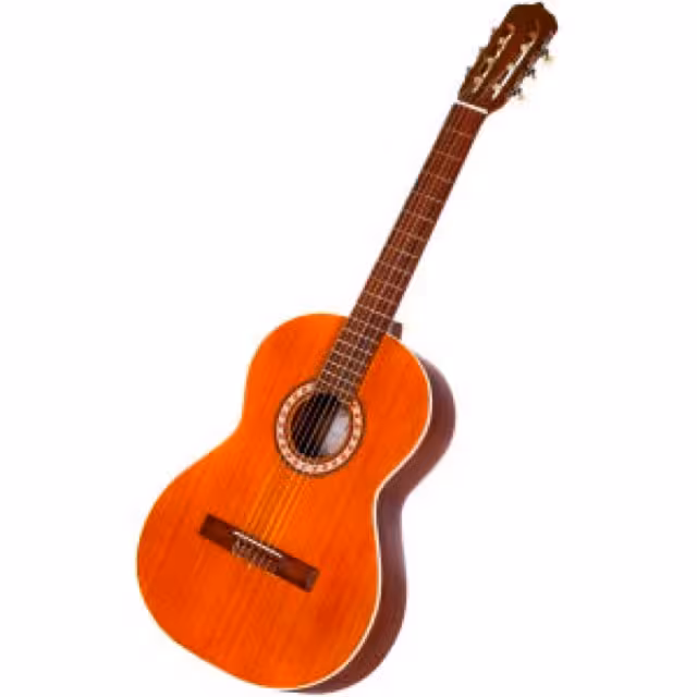 گیتار مدل Sanchez Spanish 