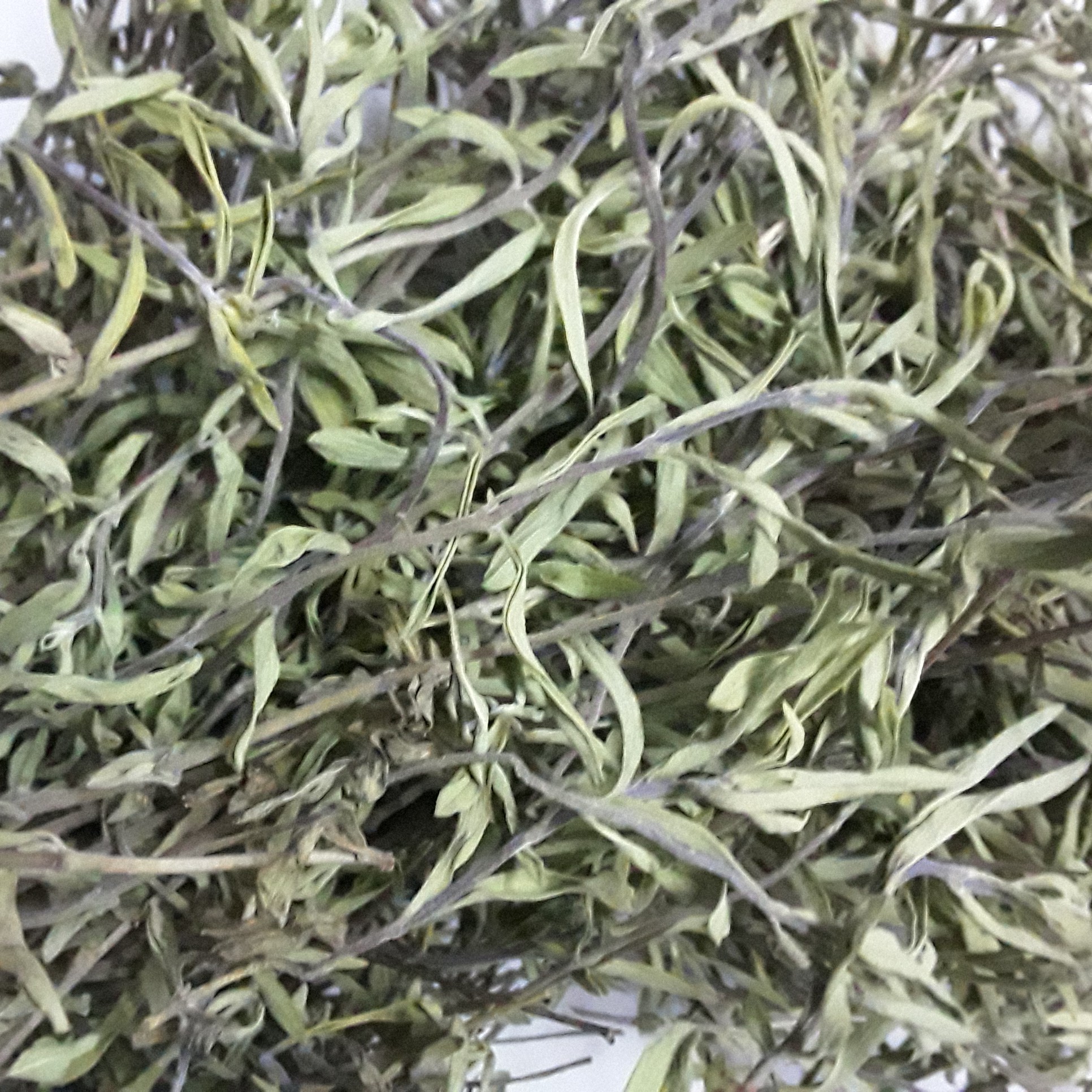 نعنا کوهی معروف به نعناادامسی کمیاب کوهستانهای چهارمحال وبختیاری(20گرم)