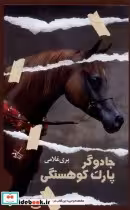 قیمت و خرید کتاب جادوگر پارک کوهسنگی اثر پری غلامی | ایده بوک