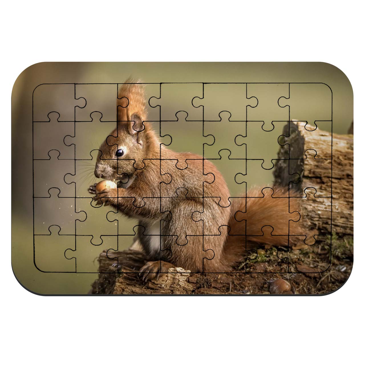 پازل 35 تکه طرح سنجاب درختی مدل NI26