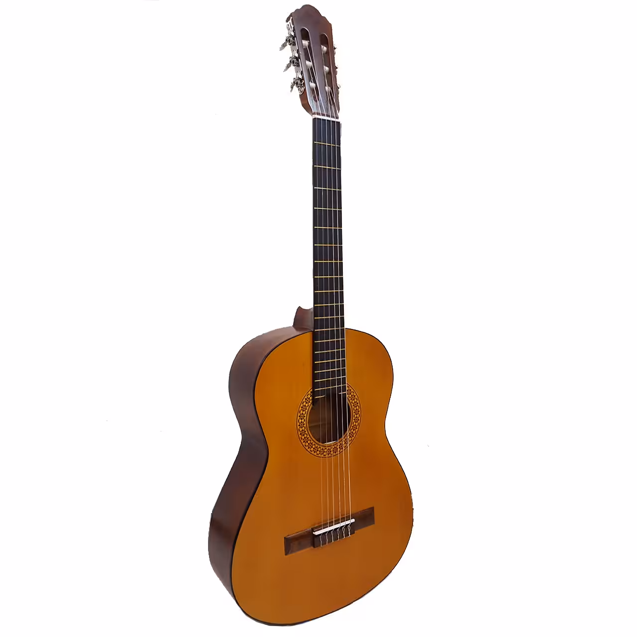 گیتار مدل C70
