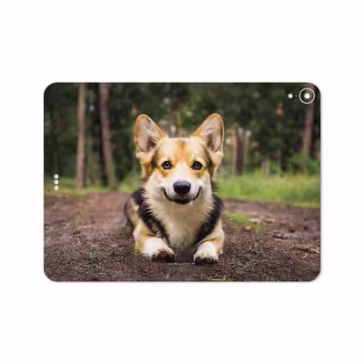 برچسب پوششی ماهوت مدل Dog-2 مناسب برای تبلت اپل iPad Pro 11 2018 A1979