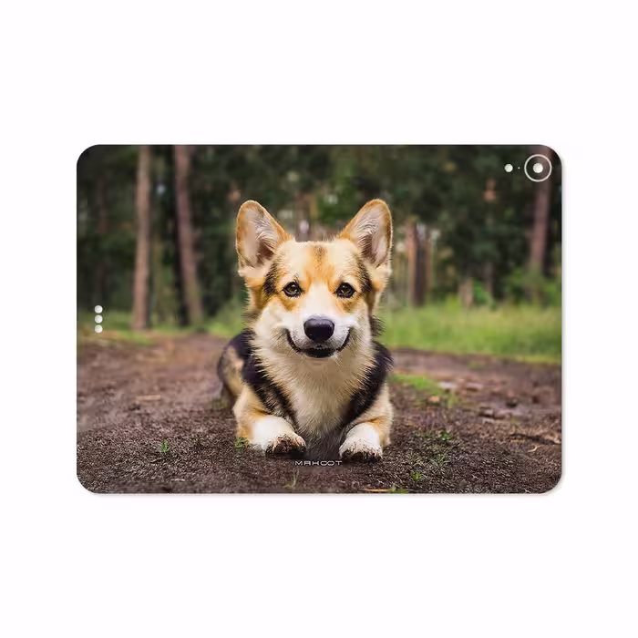 برچسب پوششی ماهوت مدل Dog-2 مناسب برای تبلت اپل iPad Pro 11 2018 A1979