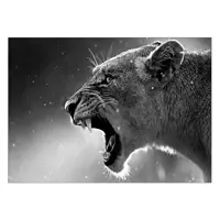 تابلوی ونسونی طرح The Lion Rave سایز 50x70