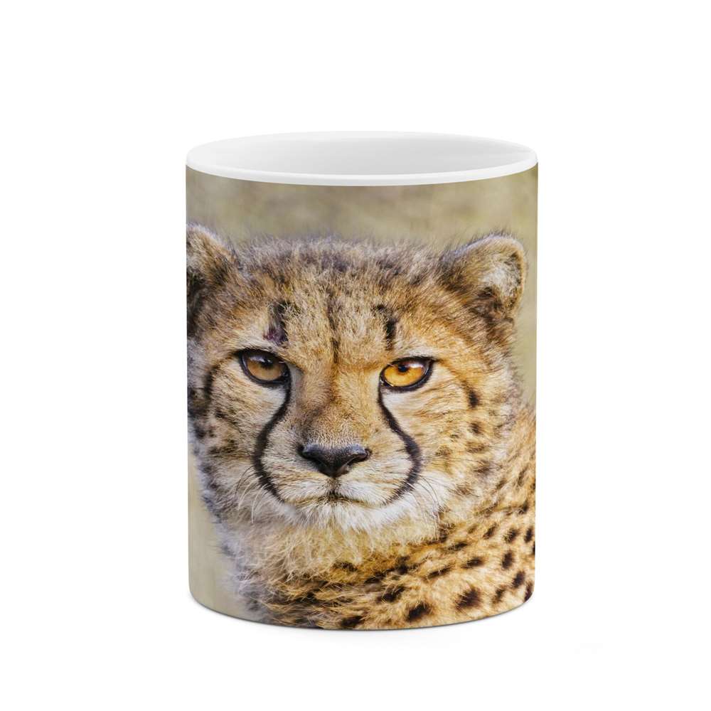 ماگ کاکتی طرح پلنگ مدل mgs14435