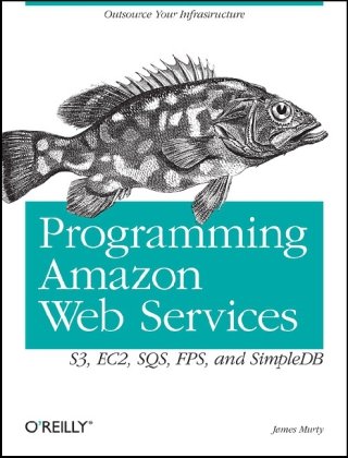 خرید و دانلود نسخه کامل کتاب Programming Amazon Web Services: S3, EC2, SQS, FPS, and SimpleDB