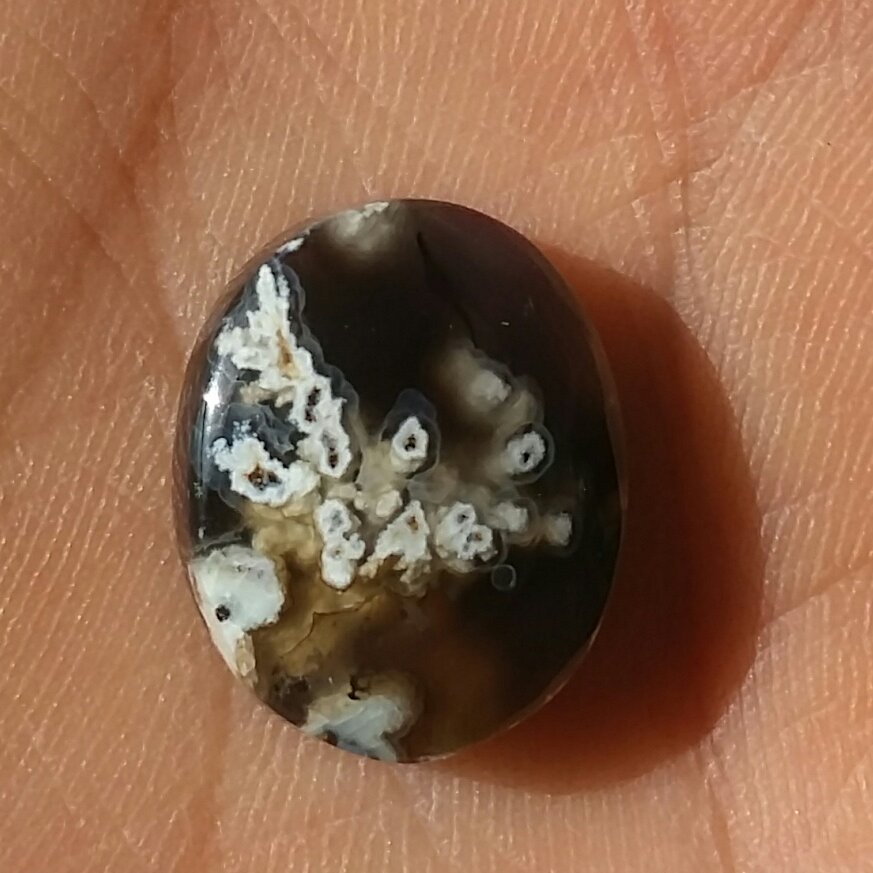 نگین شجر شکوفه زمینه خرمایی بی نظییییر محشر 100درصد طبیعی