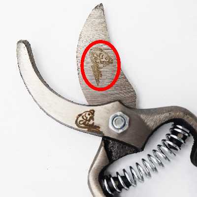 قیچی باغبانی مدل چیکن کد YPPR-08