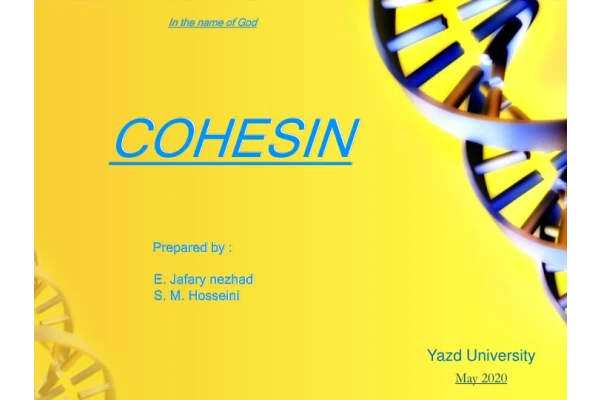 کوهسین 🔬 - کتابخانه مجازی واتیکان