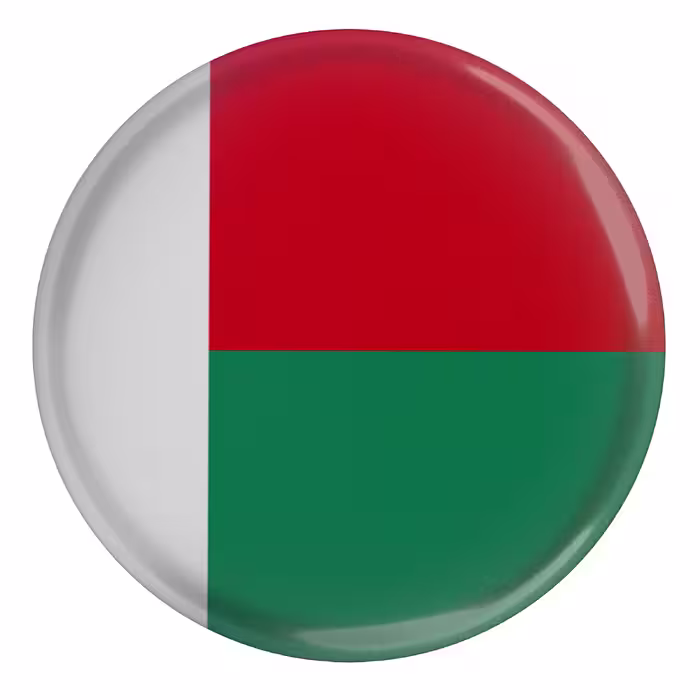 پیکسل طرح پرچم کشور ماداگاسکار مدل S12382