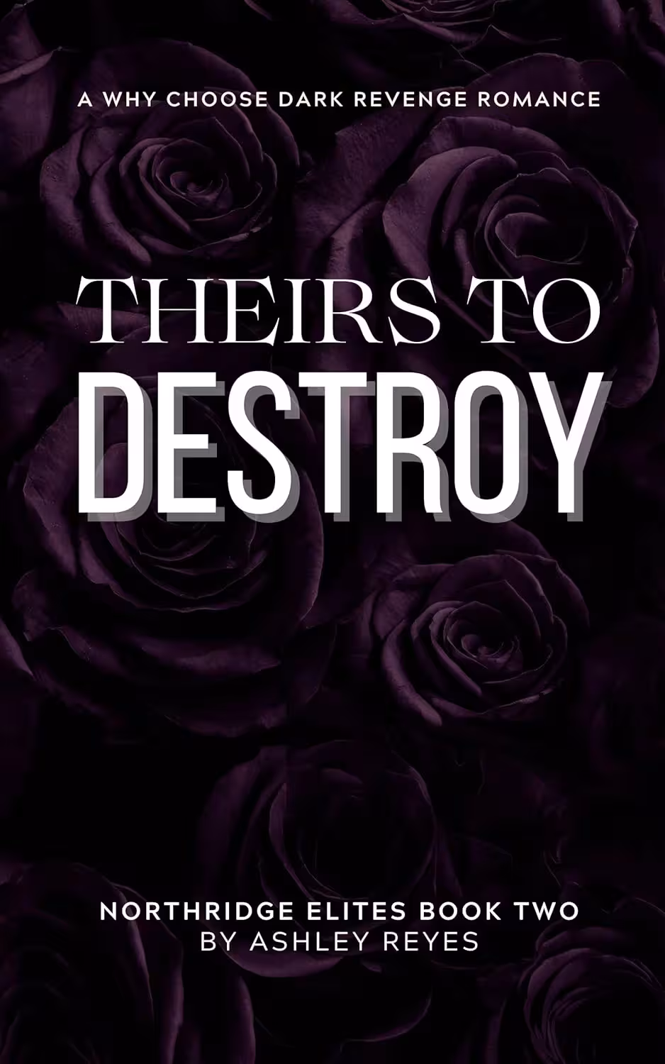 Theirs To Destroy (Northridge Elites Duet Book 2)