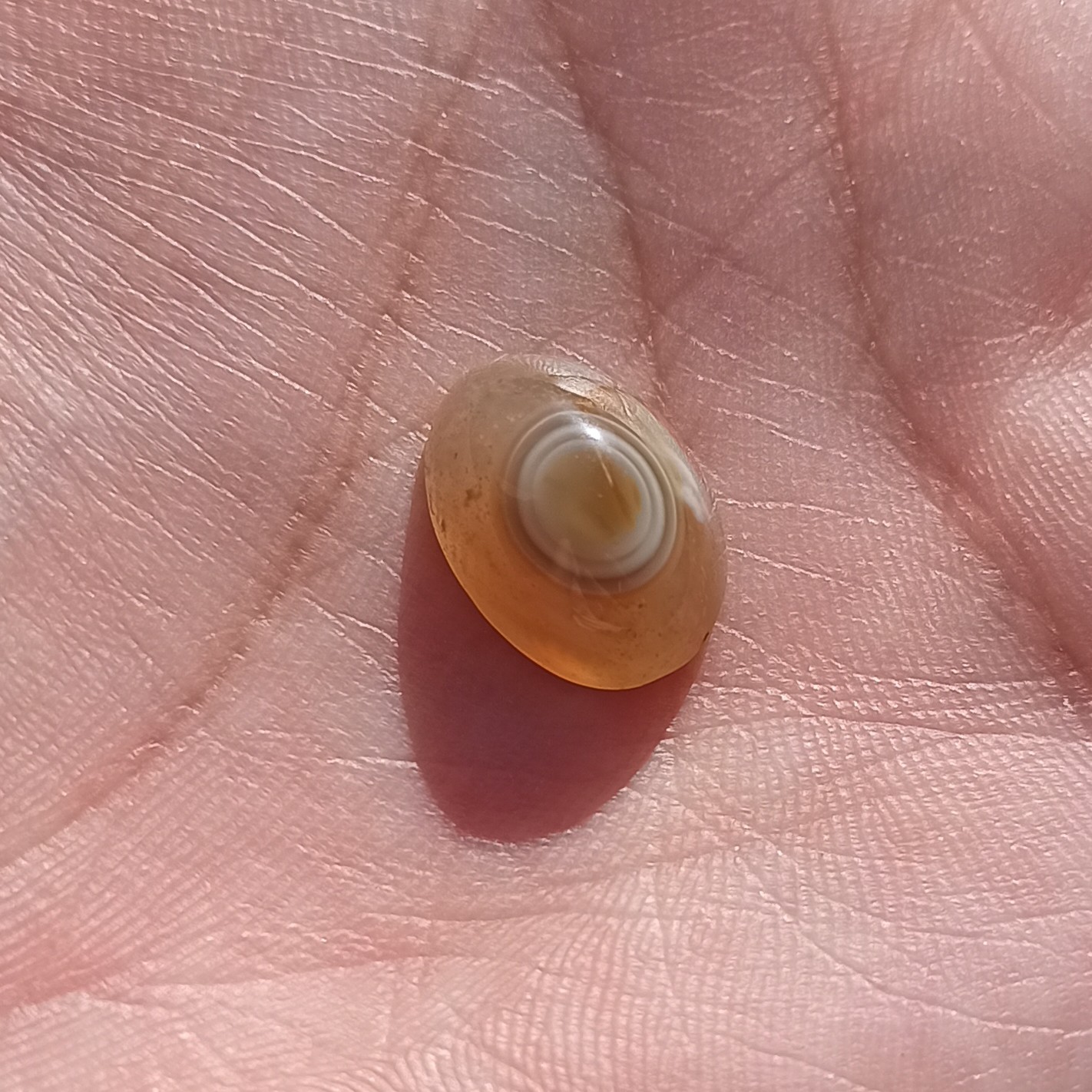 سنگ باباقوری تک چشم طوق دار طبیعی اصل درجه یک زیبا
